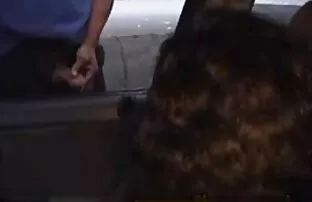 Innocence scotchée dans site de film porno streaming le conduit