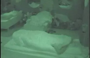 belle fille jouant videos streaming de films pornos avec la chatte dans le train