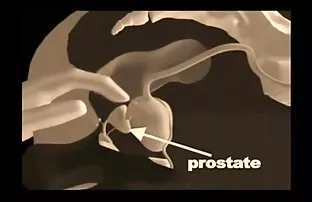 Point d'ébullition - regarder un film x en streaming 1978