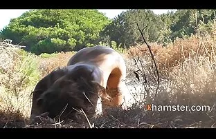 Japonais pas de regarder un film de sexe gratuit masque 034