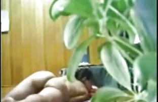 DP noir et blanc de Thai Sammy film streaming complet porno