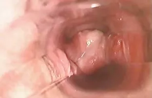 MILF en bottes et bas chevauche film porno streaming complet une bite bien dure